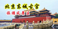 暗网美女自慰扣逼中国北京-东城古宫旅游风景区